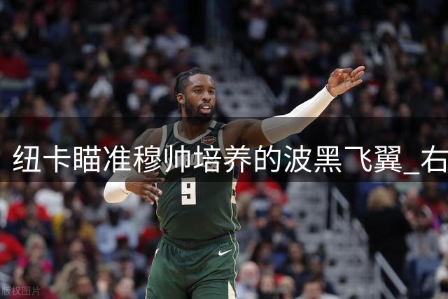 纽卡瞄准穆帅培养的波黑飞翼 右路悍将引多队争夺